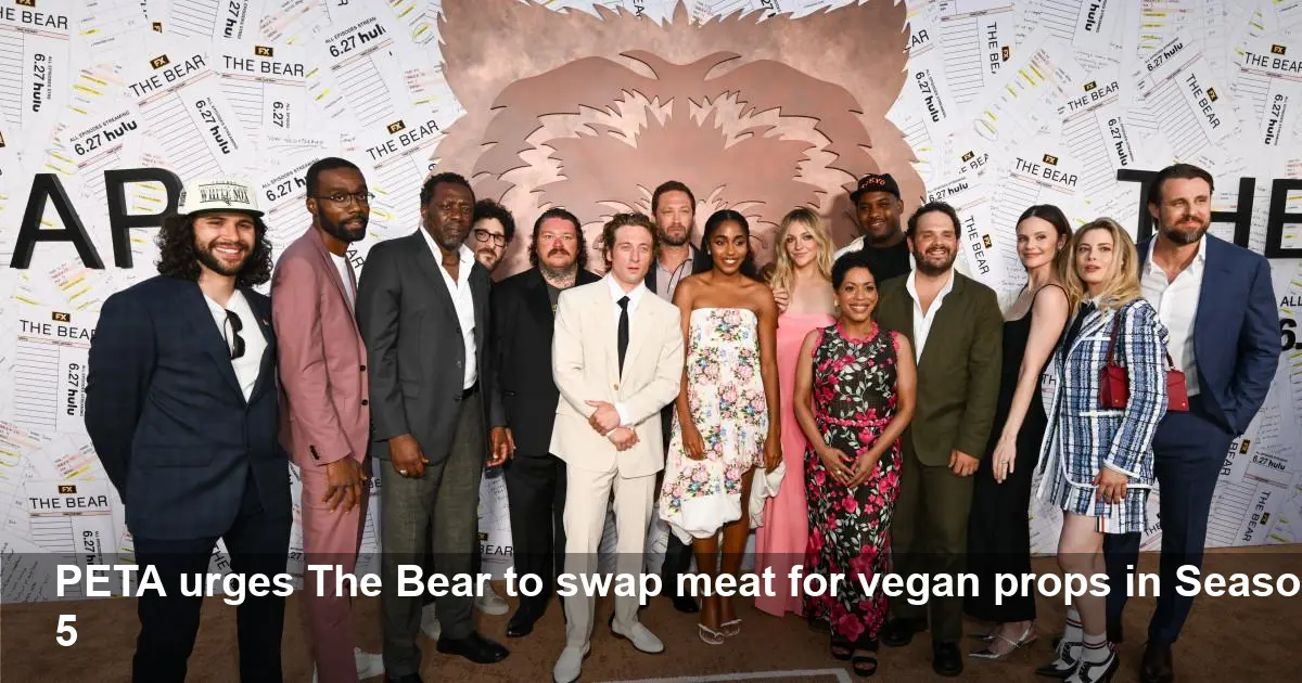 PETA Asks The Bear to Go Vegan for Season 5 Production