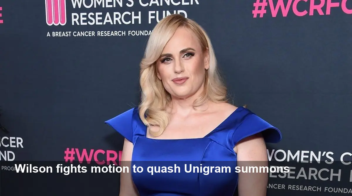 Rebel Wilson Fights Motion to Quash Unigram Summons